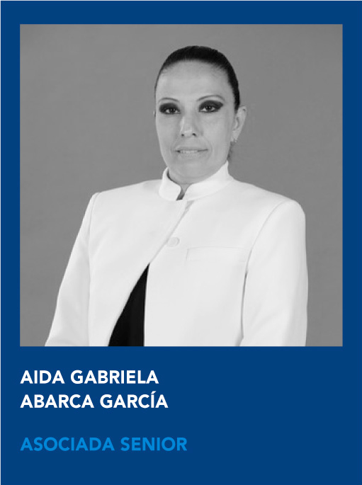 https://vahg.mx/wp-content/uploads/2024/06/aida-gabriela-abarca-asociada-senior-vahg.jpg