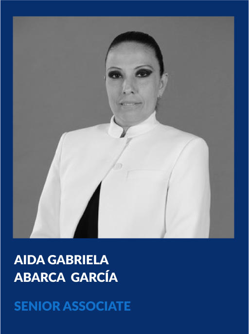 https://vahg.mx/wp-content/uploads/2024/06/aida-gabriela-abarca-senior-associate-vahg.jpg