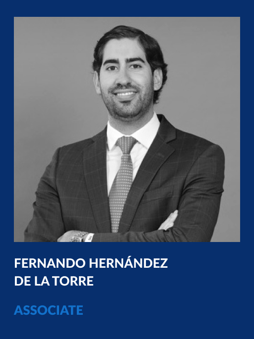 https://vahg.mx/wp-content/uploads/2024/06/fernando-hernandez-de-la-torre-vahg-partner.jpg