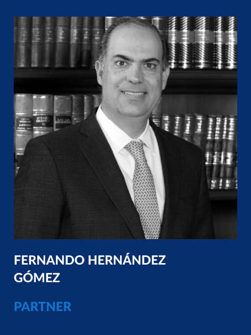 https://vahg.mx/wp-content/uploads/2024/06/fernando-hernandez-gomez-vahg-partner.jpg