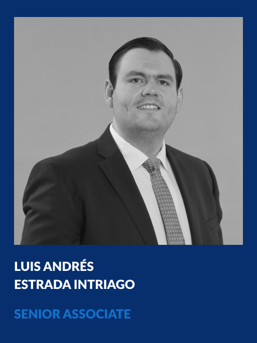 https://vahg.mx/wp-content/uploads/2024/06/luis-andres-estrada-intriago-senior-associate-vahg.jpg