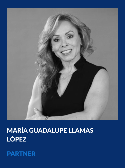 https://vahg.mx/wp-content/uploads/2024/06/maria-guadalupe-llamas-lopez-vahg-partner.jpg