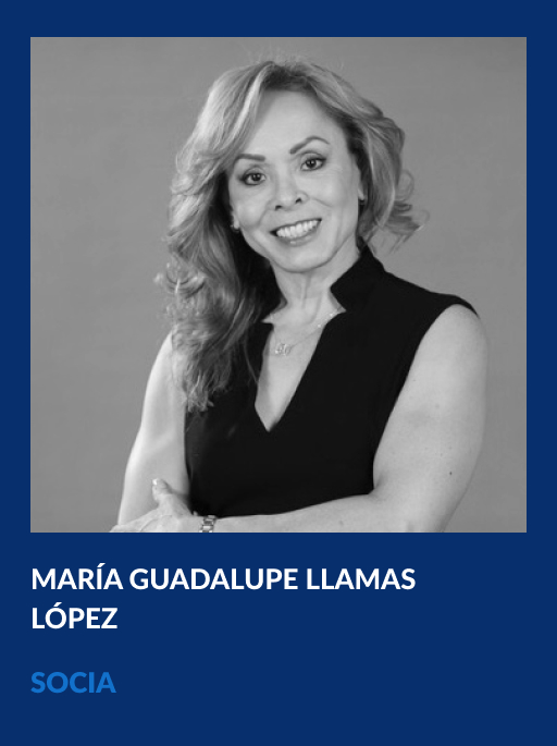 https://vahg.mx/wp-content/uploads/2024/06/maria-guadalupe-llamas-lopez-vahg.jpg