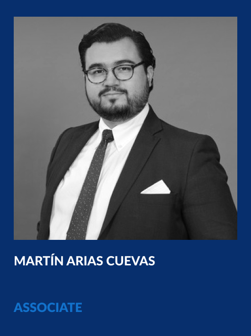 https://vahg.mx/wp-content/uploads/2024/06/martin-arias-cuevas-vahg-partner.jpg