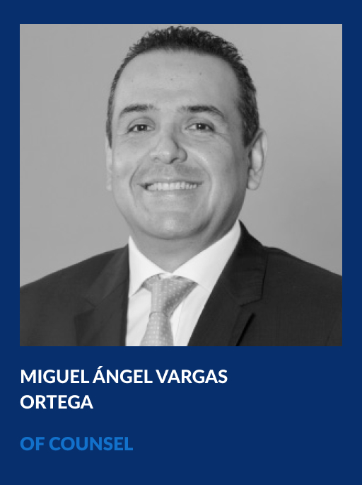 https://vahg.mx/wp-content/uploads/2024/06/miguel-angel-vargas-ortega-vahg-partner.jpg