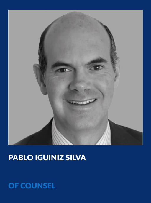 Pablo Iguiniz Silva