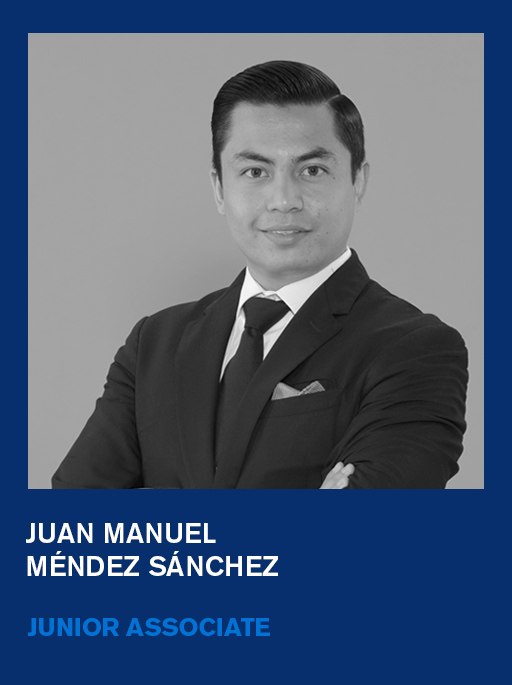 https://vahg.mx/wp-content/uploads/2024/08/Juan-Manuel-Mendez-Sanchez-junior-associate.jpg