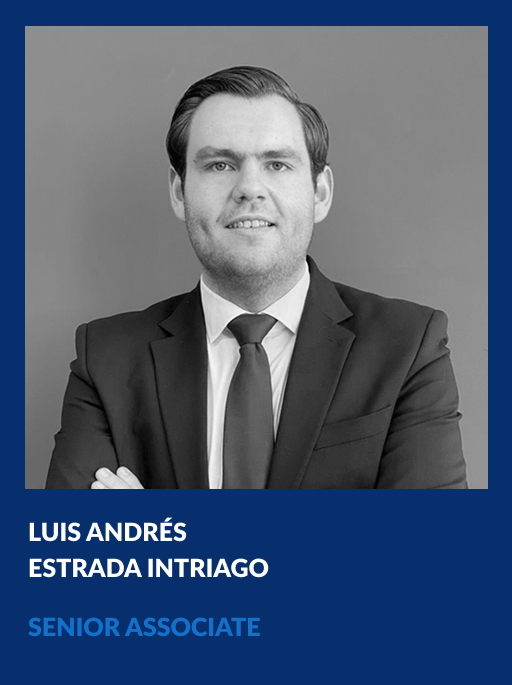 https://vahg.mx/wp-content/uploads/2026/04/luis-andres-estrada-intriago-senior-associate-vahg.jpg